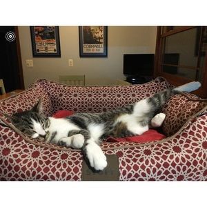 Meet your Posher, Claire